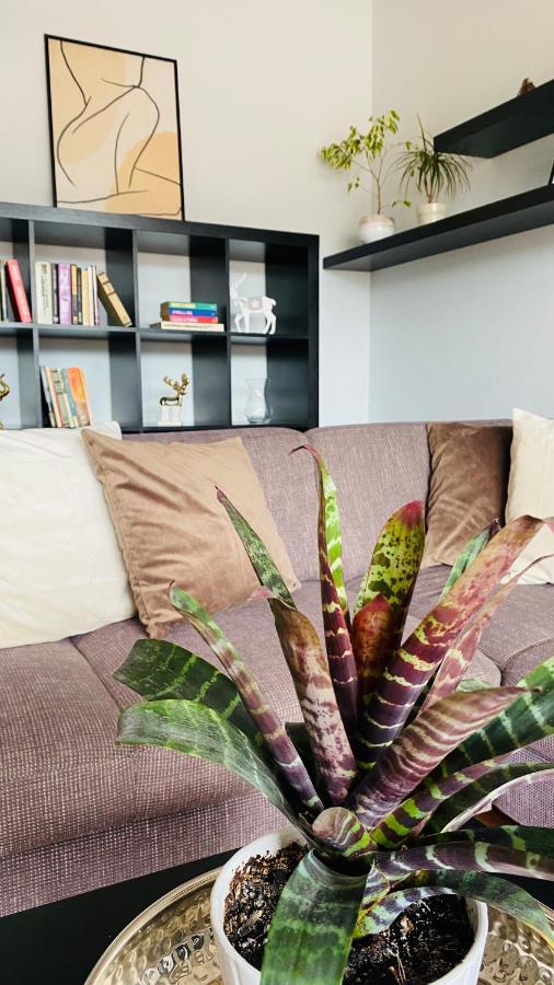 רוז'ומברוק Apartment Mira מראה חיצוני תמונה